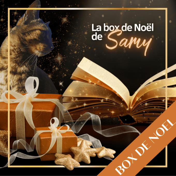 BOX DE NOËL DE SAMY (à partir de 10€)